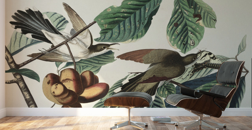 Yellow-billed Cuckoo Wall Murals