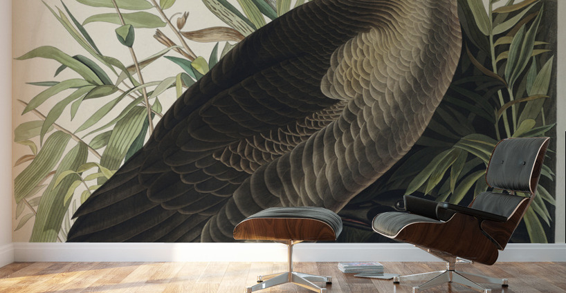 Canada Goose Wall Murals