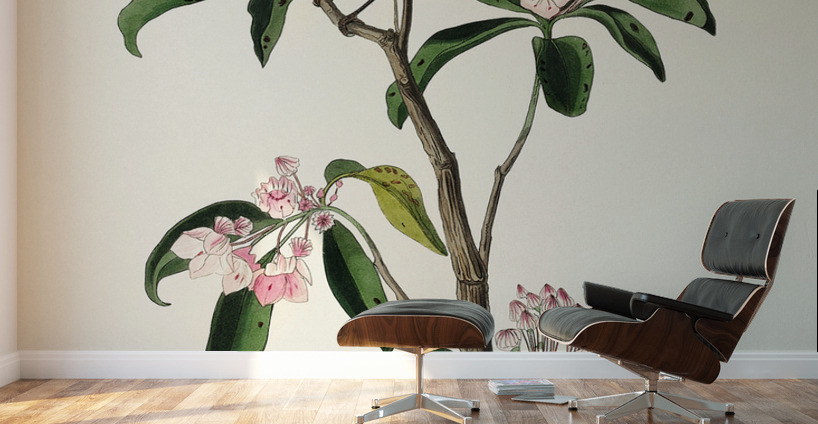 Cuviers Kinglet Wall Murals