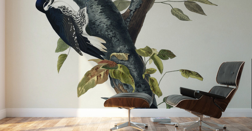 Three-toed Woodpecker Wall Murals