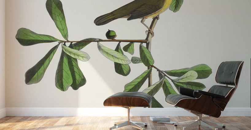 Roscoes Yellow-throat Wall Murals