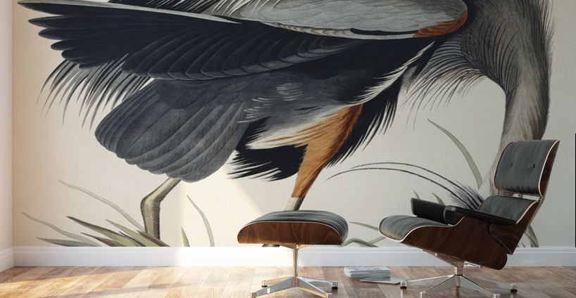 Golden-crowned Thrush Wall Murals