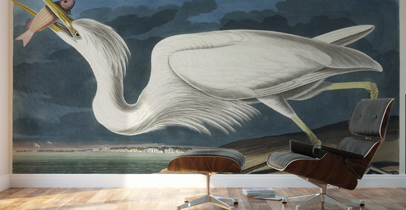 Great White Heron Wall Murals