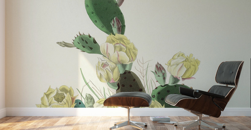 Grass Finch or Bay-winged Bunting Wall Murals