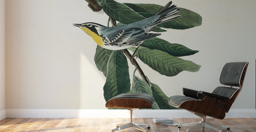 Yellow Throated Warbler Wall Murals