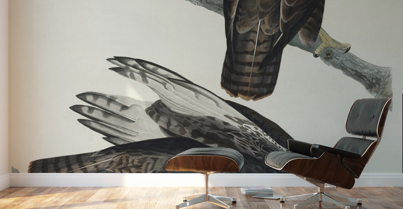 Black Warrior Wall Murals