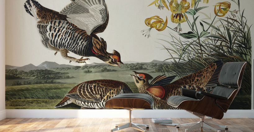 Wandering Shearwater Wall Murals