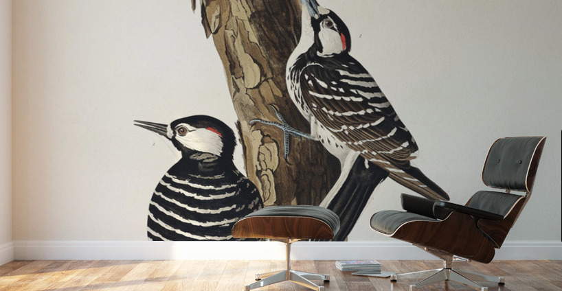 Red-Cockaded Woodpecker Wall Murals