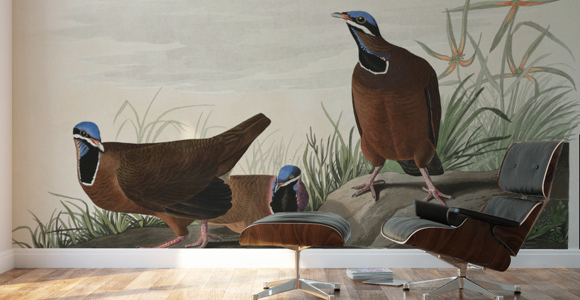 Roseate Spoonbill Wall Murals