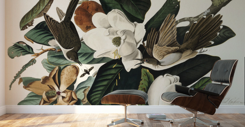 Black-billed Cuckoo Wall Murals
