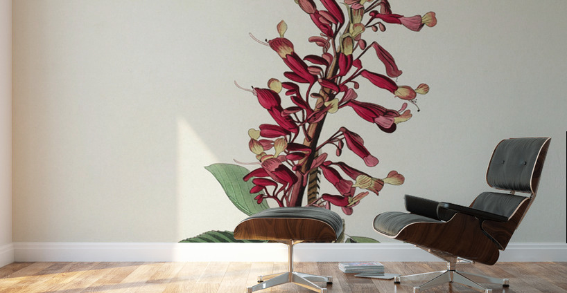 Great Carolina Wren Wall Murals