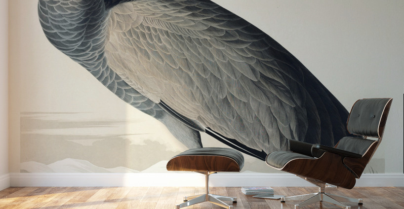 Hooping Crane Wall Murals