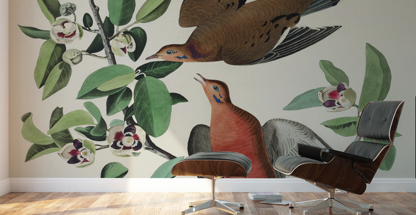 Lenaida Dove Wall Murals