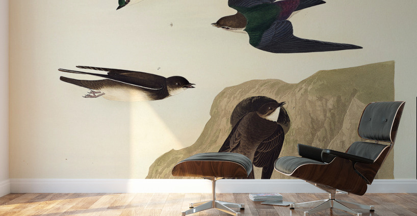 Bank Swallow and Violet-green Swallow Wall Murals