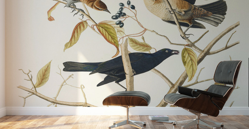 Rusty Grakle Wall Murals
