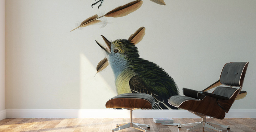 Great Crested Flycatcher Wall Murals
