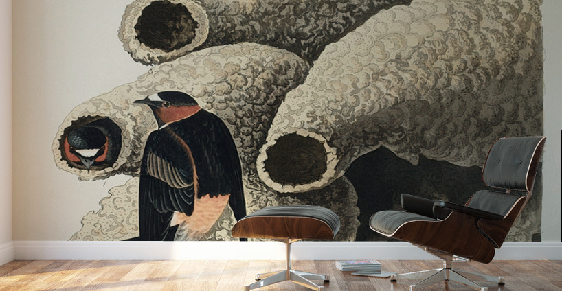 Republican or Cliff Swallow Wall Murals