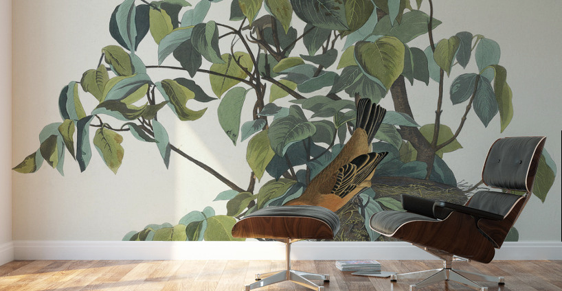 Blue Grosbeak Wall Murals