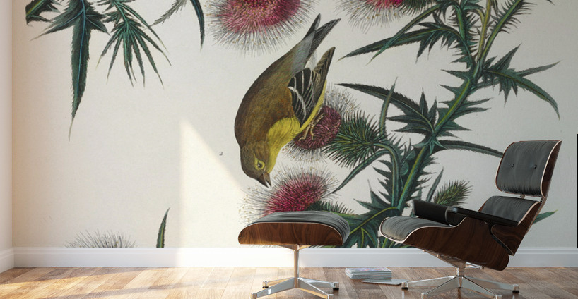 American Goldfinch Wall Murals