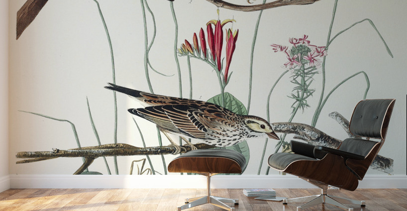 Savannah Finch Wall Murals