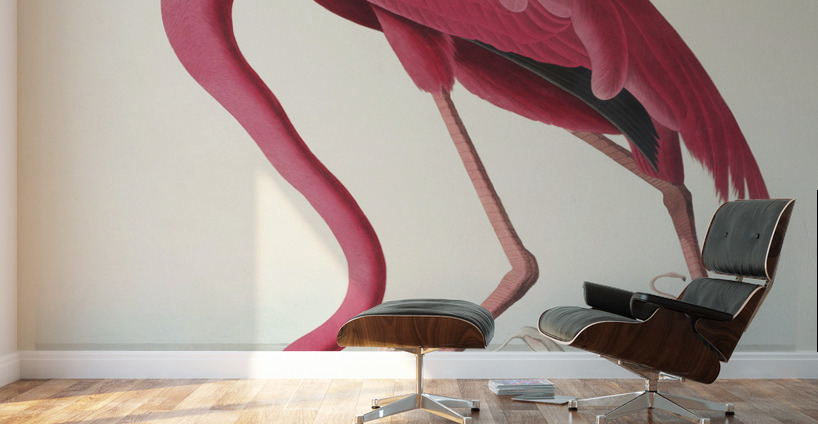 Pink flamingo Wall Murals