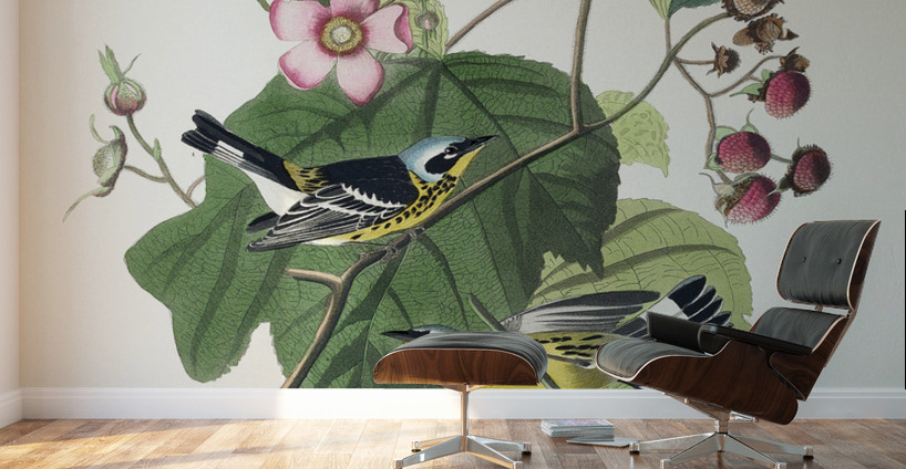 Black & Yellow Warblers Wall Murals