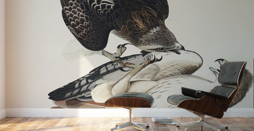 Red-tailed Hawk Wall Murals