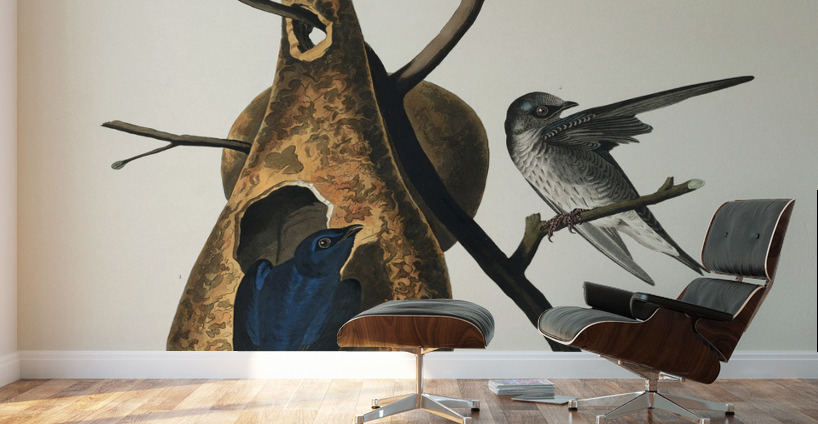 Purple Martin Wall Murals