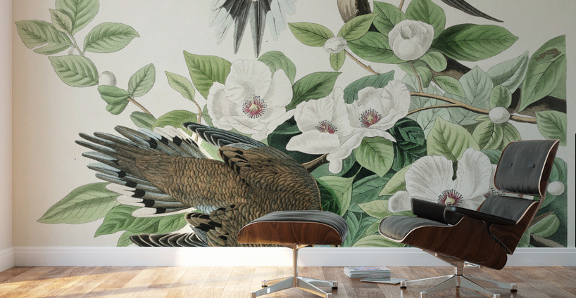 Carolina Pigeon Wall Murals