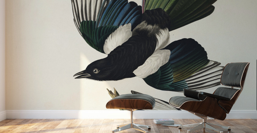 American Magpie Wall Murals