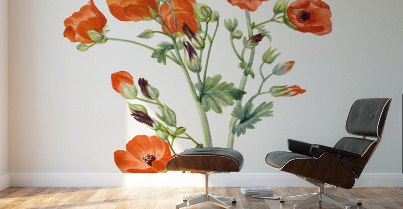 Scarlet Globe Mallow Sphaeralcea grossulariaefolia 1927 Wall Murals