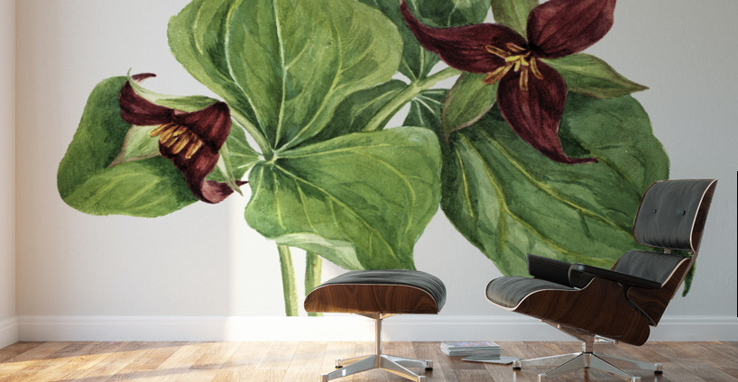 Giant Helleborine Epipactia gigantea 1880 Wall Murals