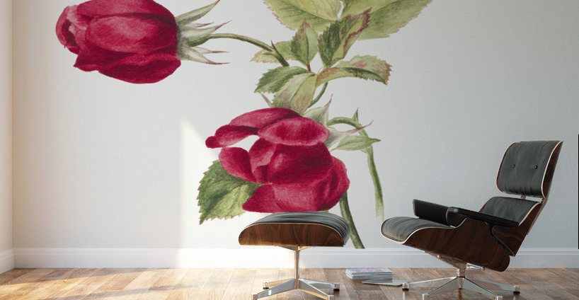 Rose 1878 Wall Murals