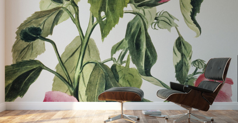 Rose Gentian Sabbatia angularis 1880  Wall Murals