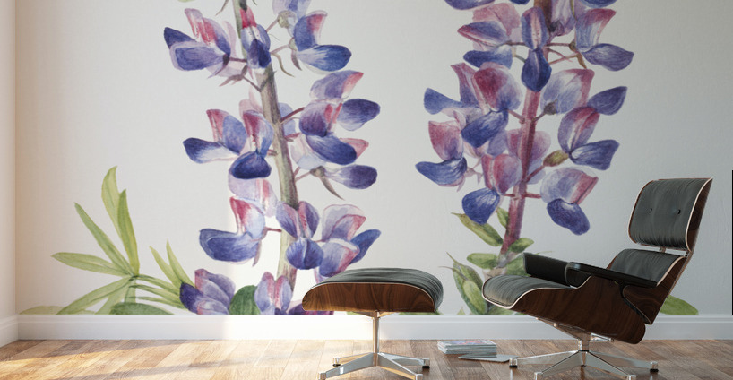 Lupine Lupinus fornosus 1935 Wall Murals