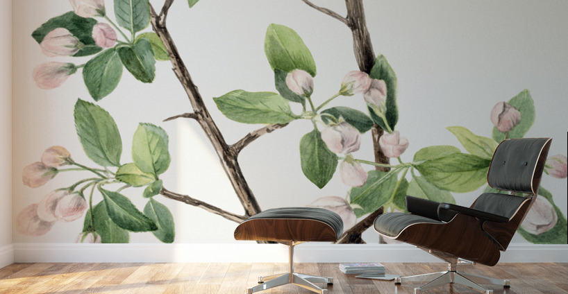 Wild Sweet Crab Malus coronaria 1920 Wall Murals