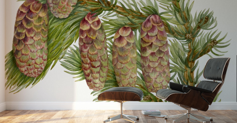 Douglas Fir Pseudotsuga mucronata 1923 Wall Murals