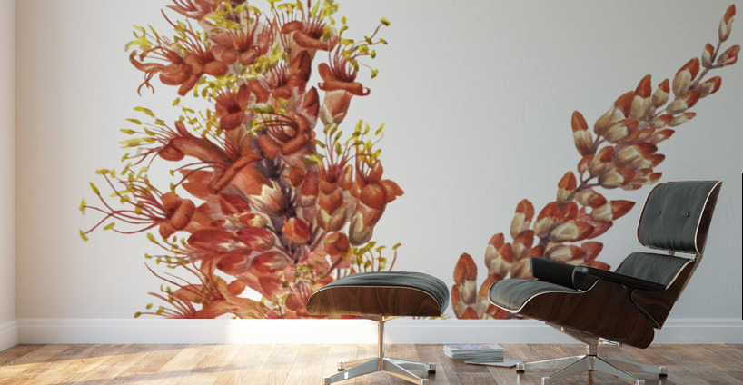 Ocotillo Fouquieria splendens 1927 Wall Murals