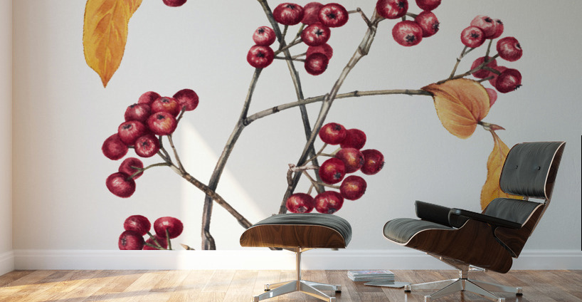Red Chokeberry Aronia arbutifolia 1920 Wall Murals