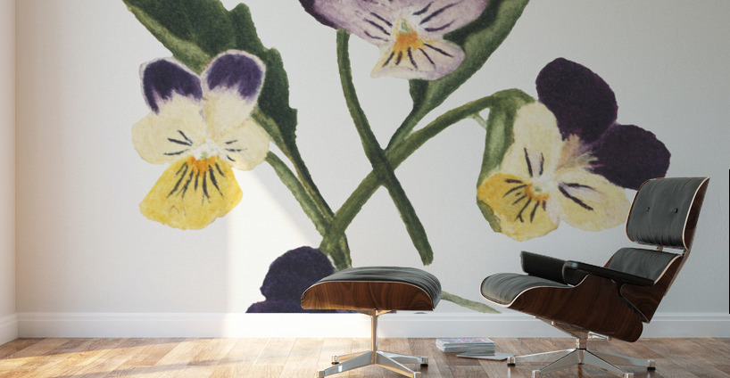 Pansies 1876 Wall Murals