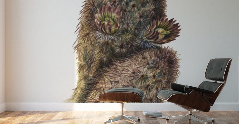 Green Strawberry Cactus Echinocereus viridiflorus 1925 Wall Murals