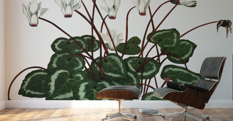 The Narrow–Leaved Kalmia Wall Murals