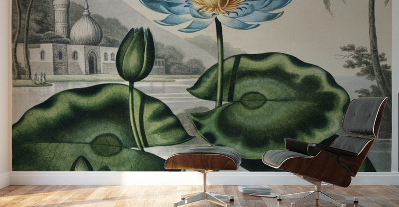 The Blue Egyptian Water-Lily Wall Murals