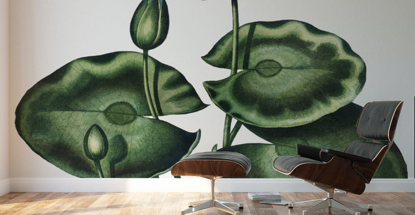 The Blue Egyptian Water-Lily Wall Murals