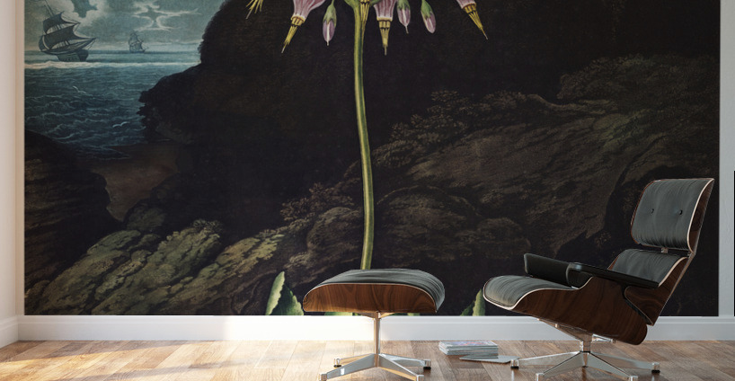 The American Cowslip Wall Murals