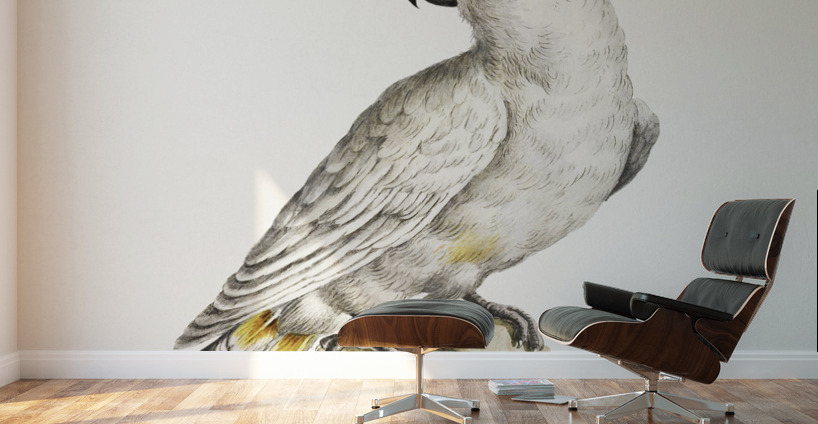 Pappagallo detto cacatua con cresta gialla Cockatoo Wall Murals