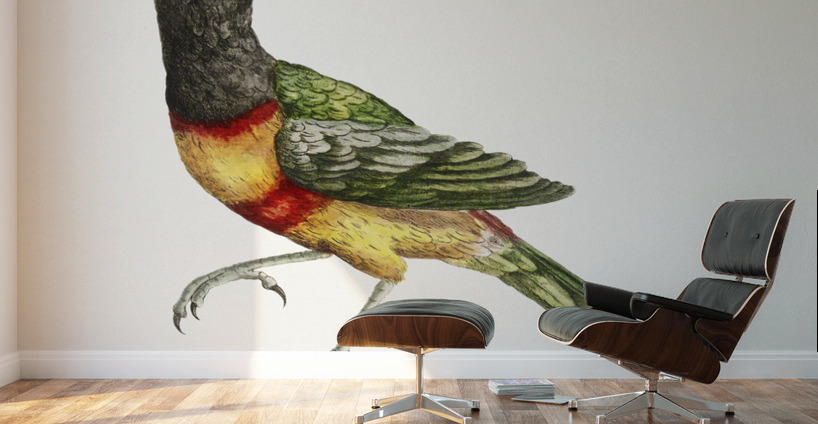 Tucana Aracari Brasilensibus Toucan Wall Murals