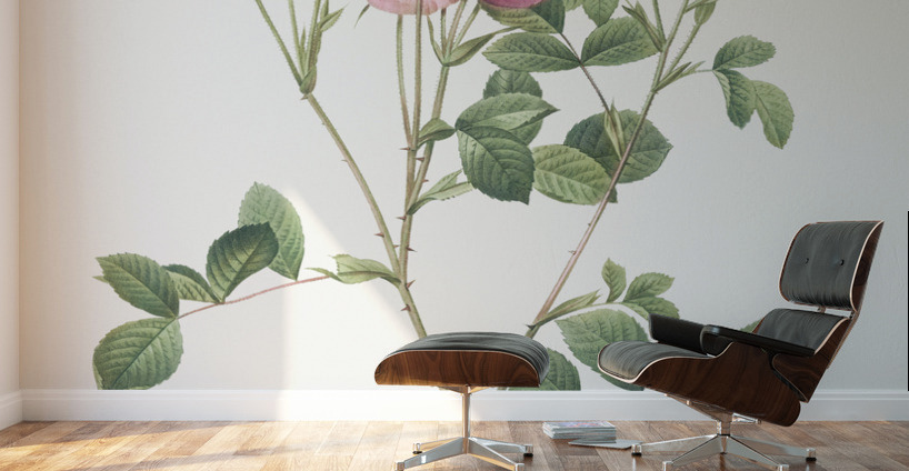 Anemone flowered sweetbriar rose Wall Murals