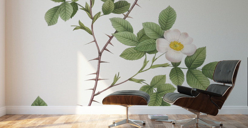 Vintage Rose of Dematra Wall Murals