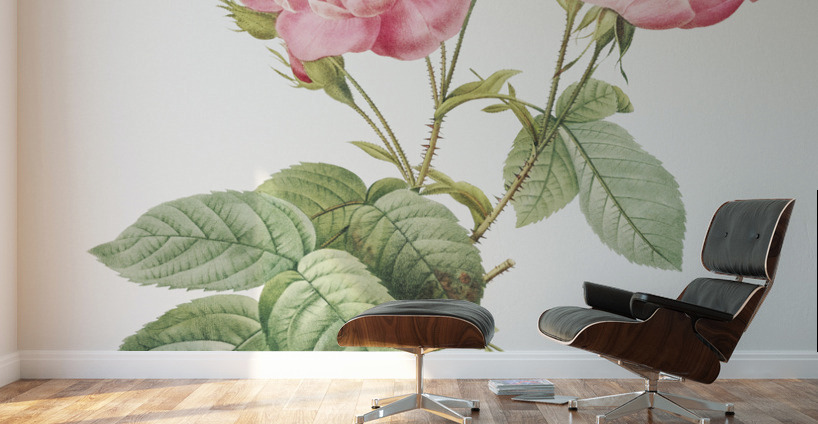 Vintage pink rose Wall Murals